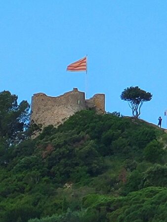 Castillo desde Torre Pinc